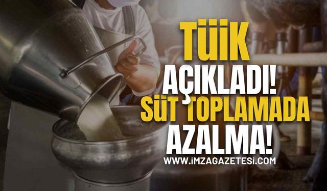 TÜİK Açıkladı! Süt Toplamada Azalma!
