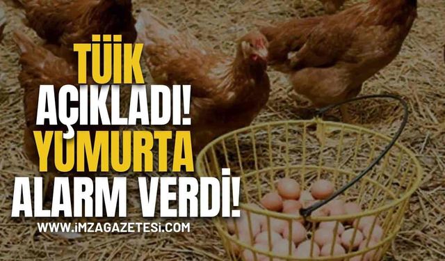 TÜİK Açıkladı! Yumurta Alarm Verdi!