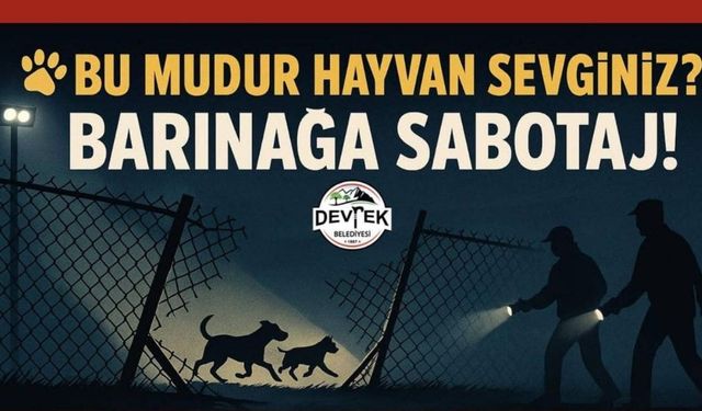 Belediyenin Barınağına Sabotaj!