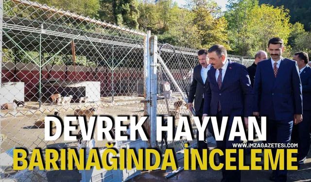 Devrek Hayvan Barınağında inceleme: Vali Hacıbektaşoğlu Çalışmalarla İlgili Bilgi Aldı