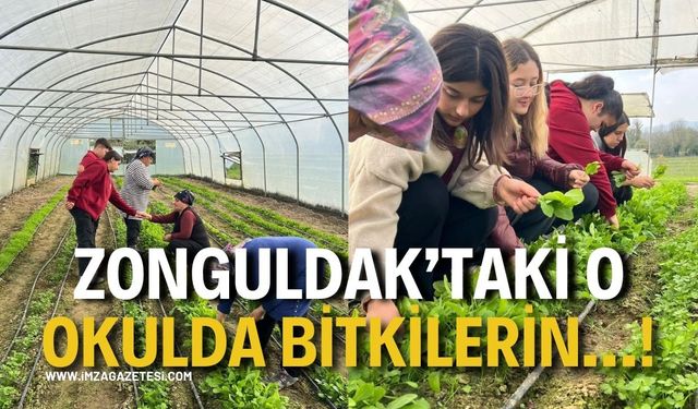Zonguldak’taki O Okulda Bitkilerin…!