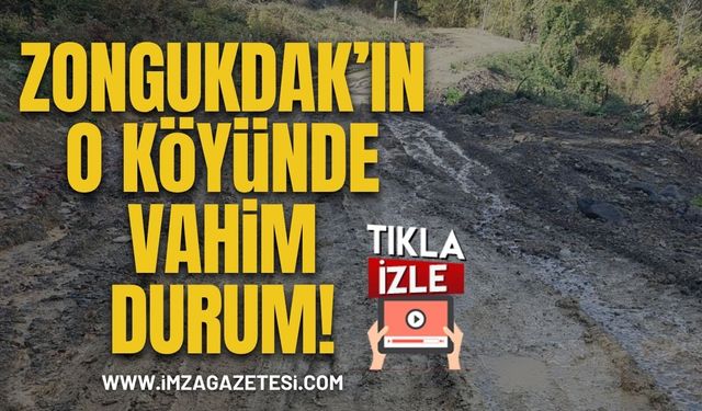 Zonguldak’ın O Köyünde Vahim Durum!