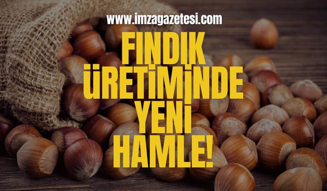Fındık Üretiminde Yeni Hamle!