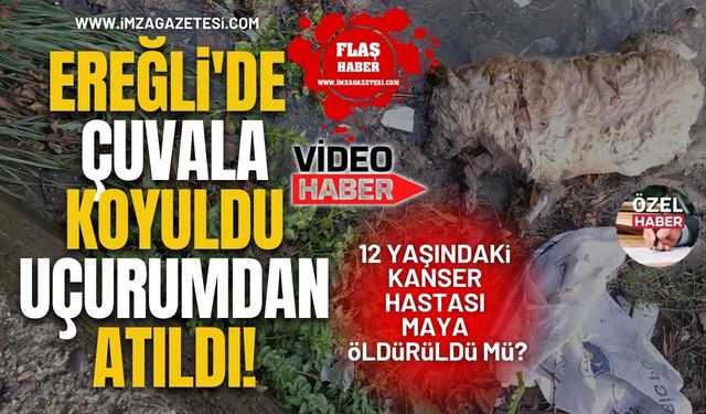 Ereğli'de Çuvala Koyuldu Uçurumdan Atıldı! 12 Yaşındaki Kanser Hastası Maya Öldürüldü Mü?