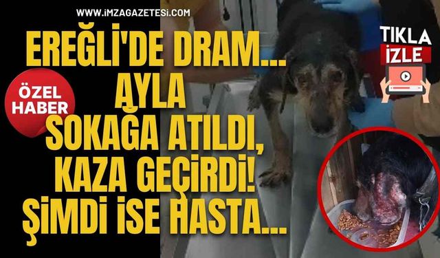 Ereğli'de Dram... Ayla Sokağa Atıldı, Kaza Geçirdi! Şimdi İse Hasta...