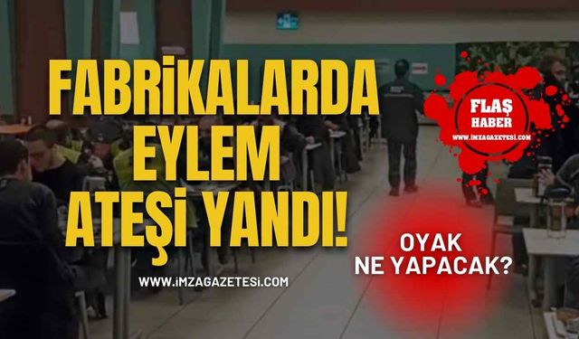 Fabrikalarda Eylem Ateşi Yandı! OYAK Ne Yapacak?