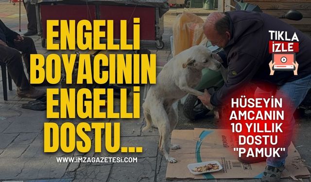 Engelli Boyacının Engelli Dostu... Hüseyin Amcanın 10 Yıllık Dostu "Pamuk"