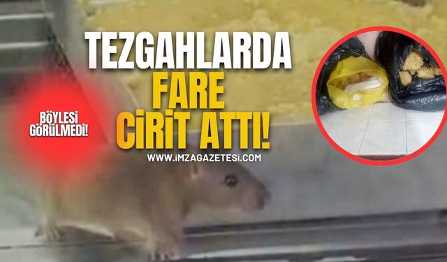 Tezgahlarda fare adeta cirit attı! Böylesi Görülmedi!