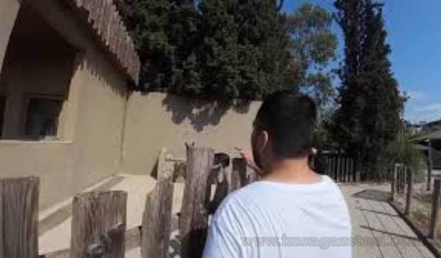 Kadıköy Boğası Nerede Oturuyor? Evi Nerede?