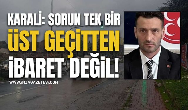 Karali: Sorun Tek Bir Üst Geçitten İbaret Değil!