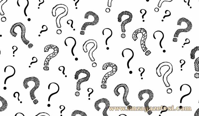 Remember Your History Türkçesi Ne Demek? Çevirisi