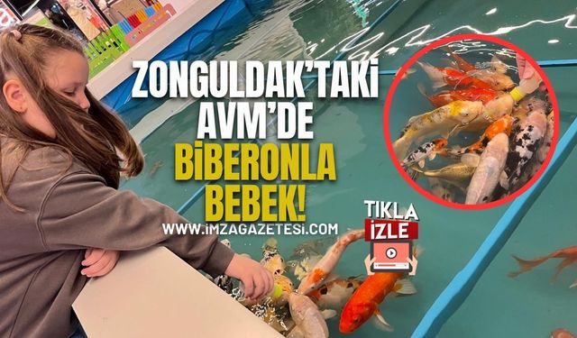 Zonguldak’taki AVM’de Minikler Balıkları Biberonla Bebek…!