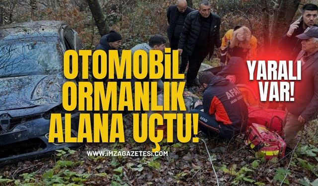 Zonguldak'ta otomobil ormanlık alana uçtu!