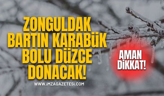 Zonguldak, Düzce, Bartın, Bolu ve Karabük'e don uyarısı!
