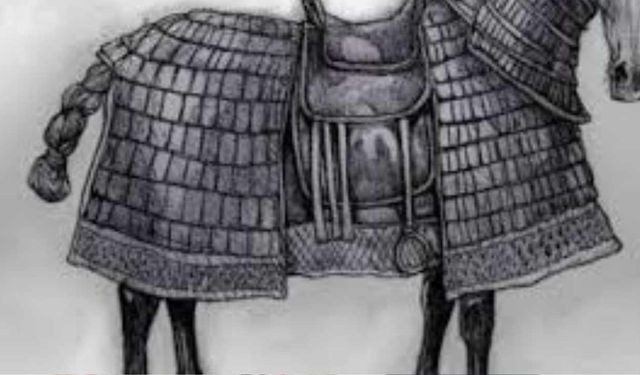 Atın Kuyruğu Neden Bağlanır? Sebebi Nedir?