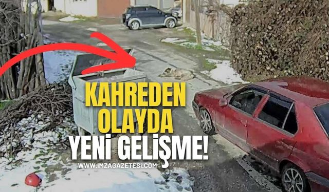Bolu'da kahreden olayda yeni gelişme!
