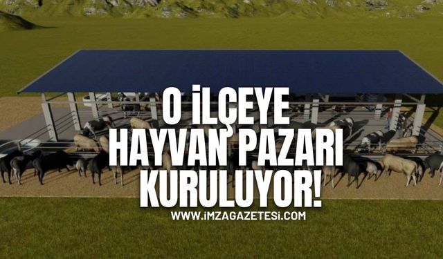 O İlçeye Hayvan Pazarı Kuruluyor!