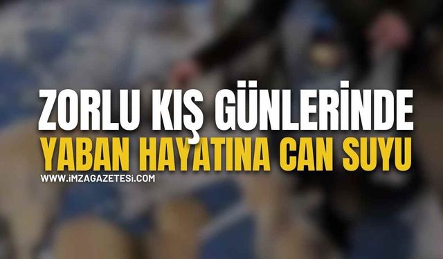 Zorlu Kış Günlerinde Yaban Hayatına Can Suyu