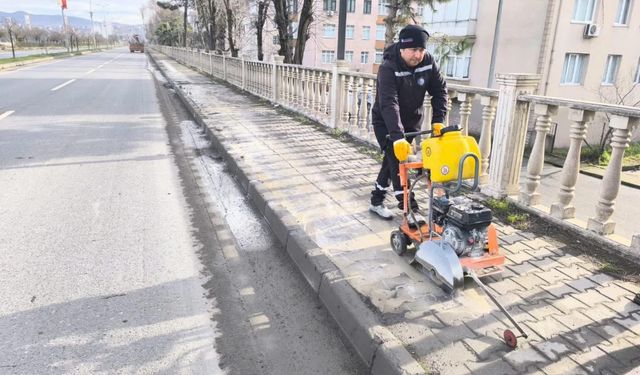 Millet Bahçesi Çalışmaları Son Sürat!