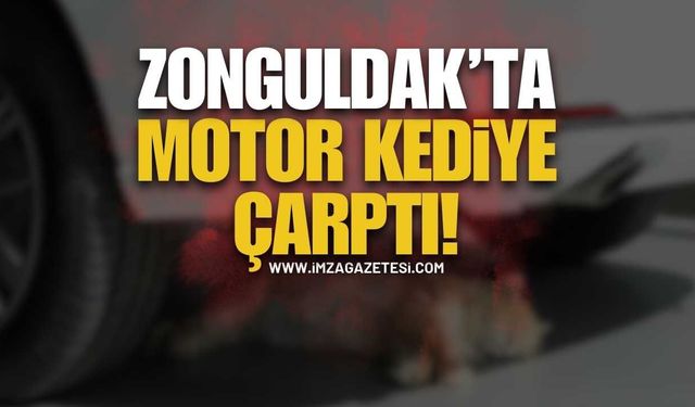 Kilimli’de Kaza: Yola Fırlayan Kedi Motosikletliyi Devirdi!