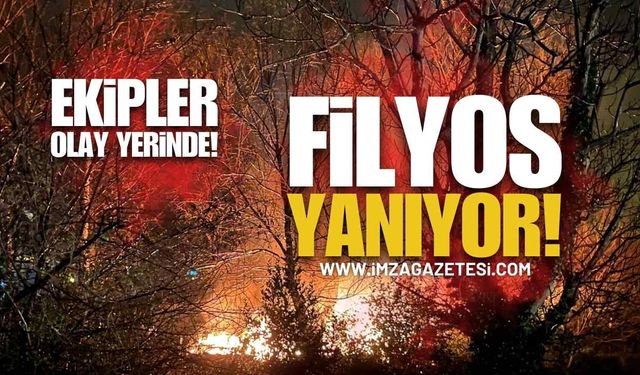 Zonguldak Filyos’ta Orman Yangını!