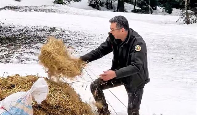 Bir Avuç Yem, Bir Hayat!