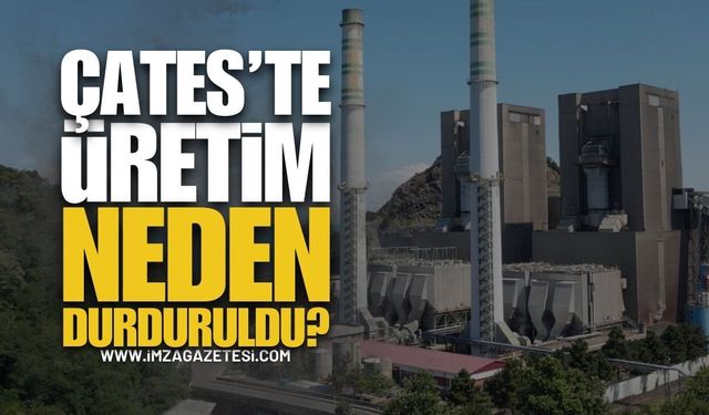 Çatalağzı Termik Santrali’nde (ÇATES) Üretim Neden Durdu?