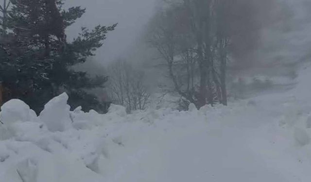 Yedigöller Milli Parkı yolunda kar yağışı etkili oluyor