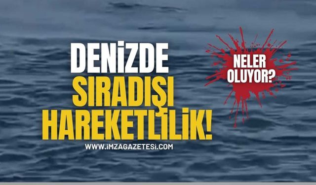 Zonguldak’ın Kozlu İlçesinde Sıradışı Hareketlilik!