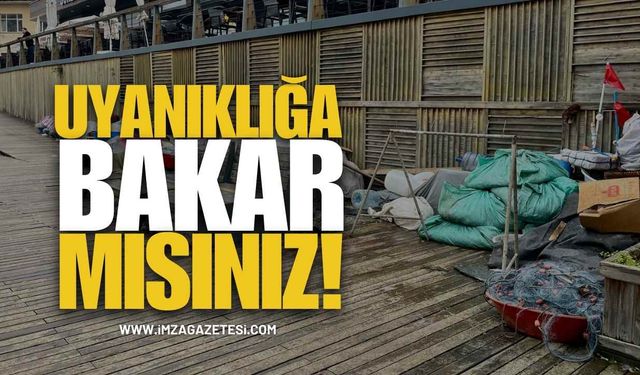 Uyanıklığa Bakar Mısınız! Milyonlarca Yatırım Onlar İçin Mi Yapıldı!