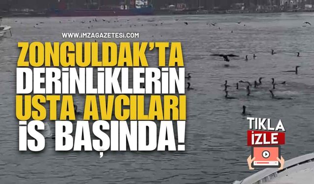 Zonguldak’ta Derinliklerin Usta Avcıları İş Başında!