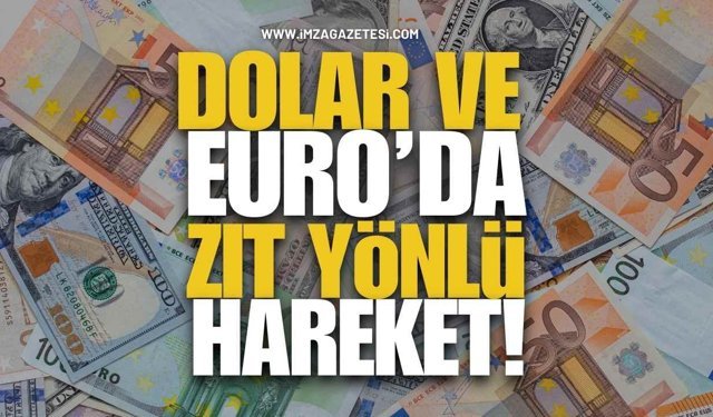 Döviz Piyasasında Haftanın İlk Günü... Dolar ve Euro'da Zıt Yönlü Hareket!
