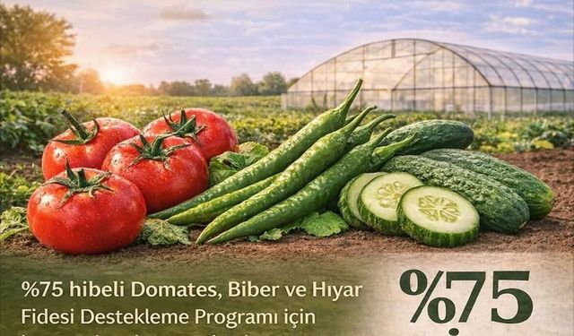 Yüzde 75 Hibeli Domates, Biber, Hıyar…!