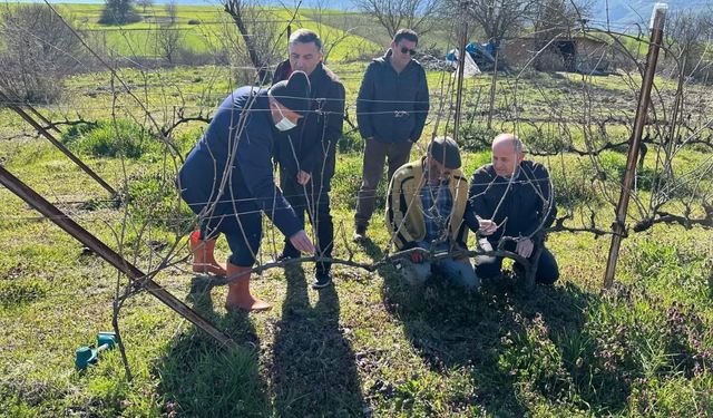 Bağ Entegre Mücadelesi!