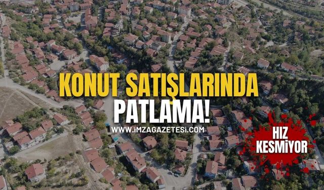 Batı Karadeniz İllerinde Konut Satışları Patladı