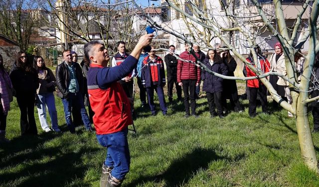 Meyvecilikte Budama Eğitimi!