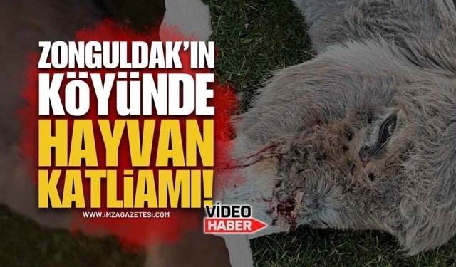 Zonguldak'ın Köyünde Skandal İddialar: Köylüler Ayaklandı!