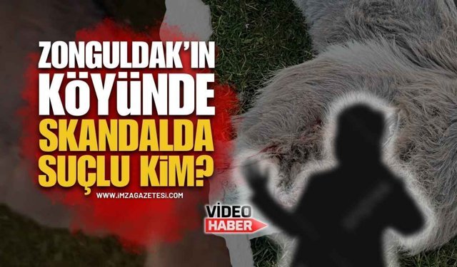Zonguldak'ın Köyünde Yaşanan Skandalda Suçlu Kim?