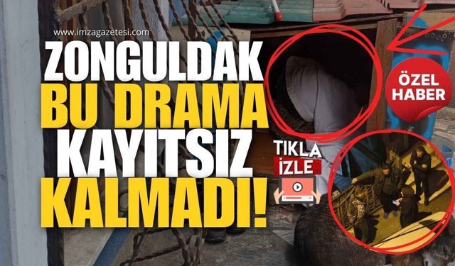 Zonguldak Bu Drama Kayıtsız Kalmadı! Hüseyin Amca Köpek Kulübesinde Kalmayacak!