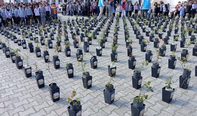 Gül Toprağa, Salavat Kalbe!