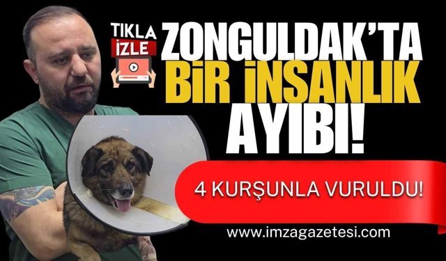 Zonguldak’ta Bir İnsanlık Ayıbı! 4 Kurşunla Vuruldular!