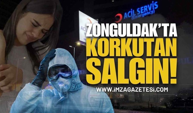 Zonguldak'ta Uyarı: İki Hastalık Aynı Anda Yayılıyor!