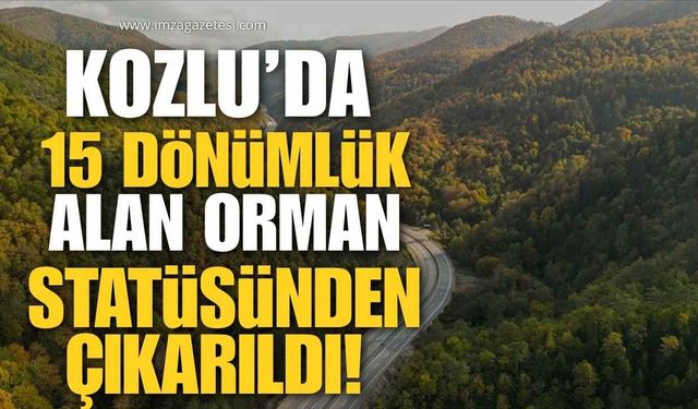 Kozlu'da 15 Dönümlük Orman Alanı Statüden Çıkarıldı!