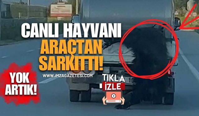 Canlı Hayvanı Araçtan Sarkıttı! Tepki Çeken Sürücüye Ceza Yağdı!