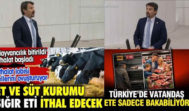 CHP’li Ertuğrul’dan Et Fiyatları Tepkisi: “Avrupa’da Birinciyiz, Ama En Pahalı Eti Biz Yiyoruz”