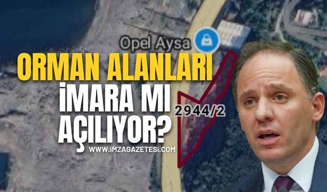 Deniz Yavuzyılmaz: “Zonguldak’ta Orman Alanları Ranta Ve Talana Mı Açılıyor?”
