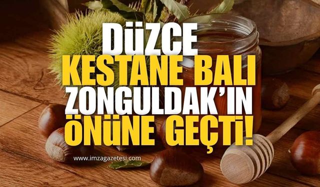 Düzce Kestane Balında Öne Geçti, Zonguldak Başvuru Sürecinde...