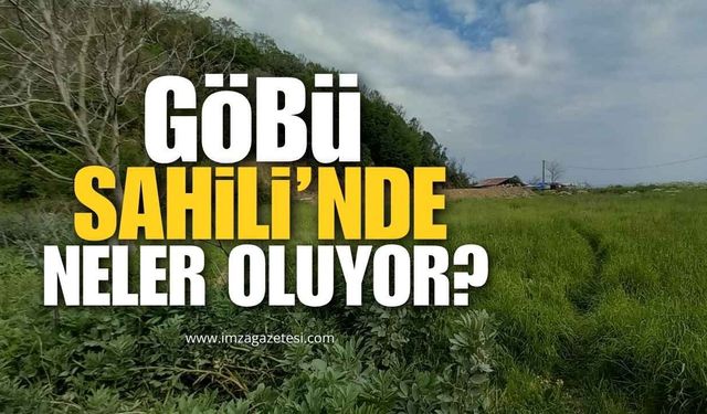 Göbü Sahili'nde Neler Oluyor? Vatandaşlar Merak İçinde!