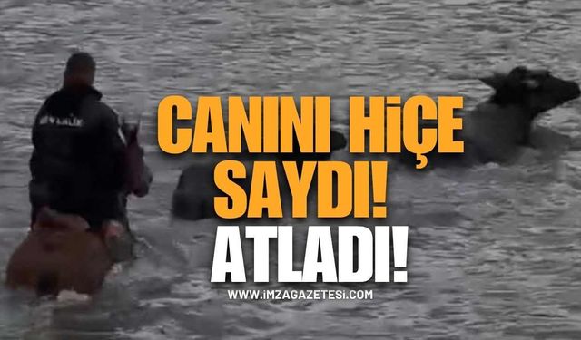 Canını Hiçe Saydı! Atıyla Çaya Girip Mandalarını Kurtardı
