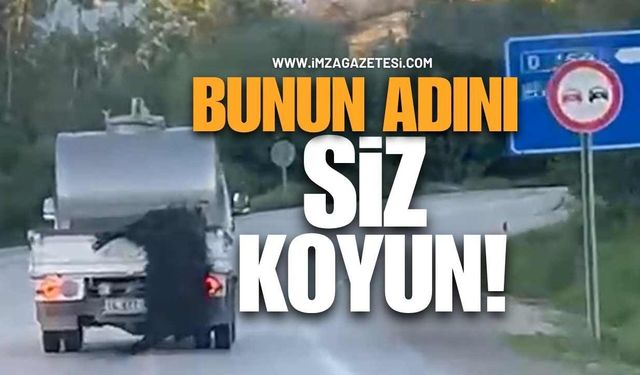 Vicdanları Yaralaran 'Kurbanlığa eziyet' Olayı!